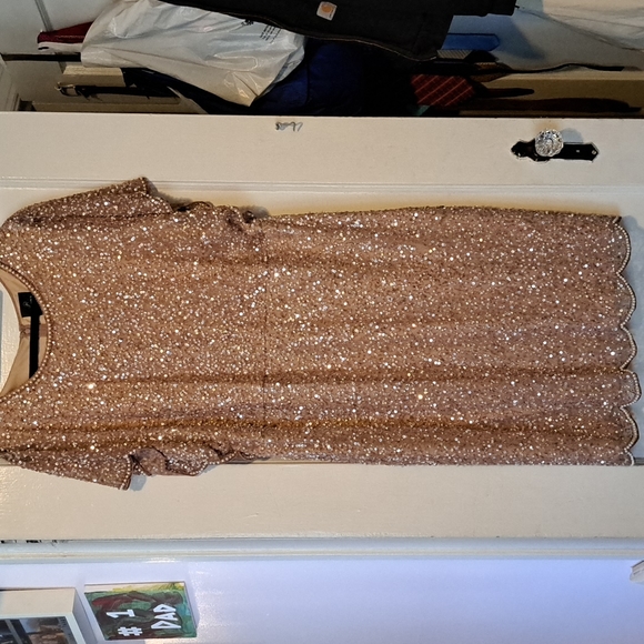 EUC Women's Adrianna Papell Flutter Sleeve Sequin/Beaded Dress - Picture 4 of 12